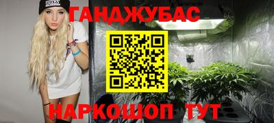 прущие грибы Абинск