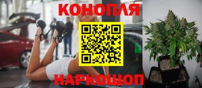индика Абакан