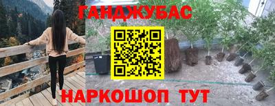 прущие грибы Абинск