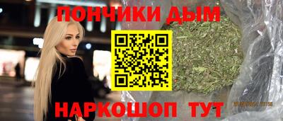 индика Абакан