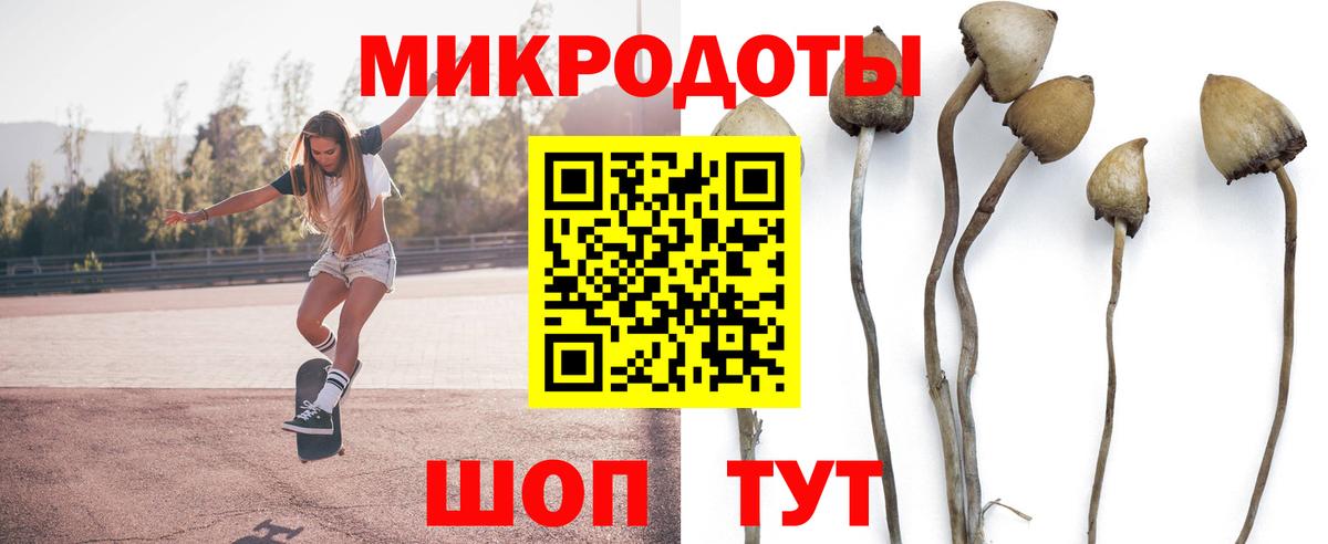 Галлюциногенные грибы Psilocybe Ачинск